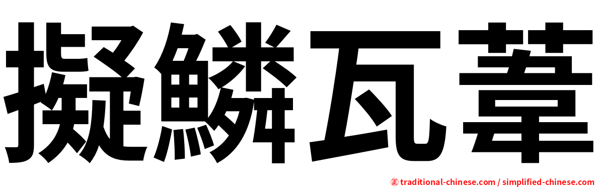 擬鱗瓦葦