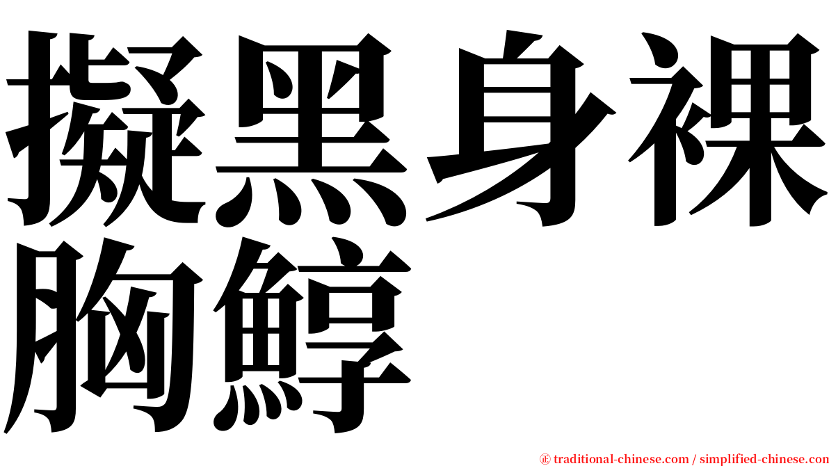 擬黑身裸胸鯙 serif font