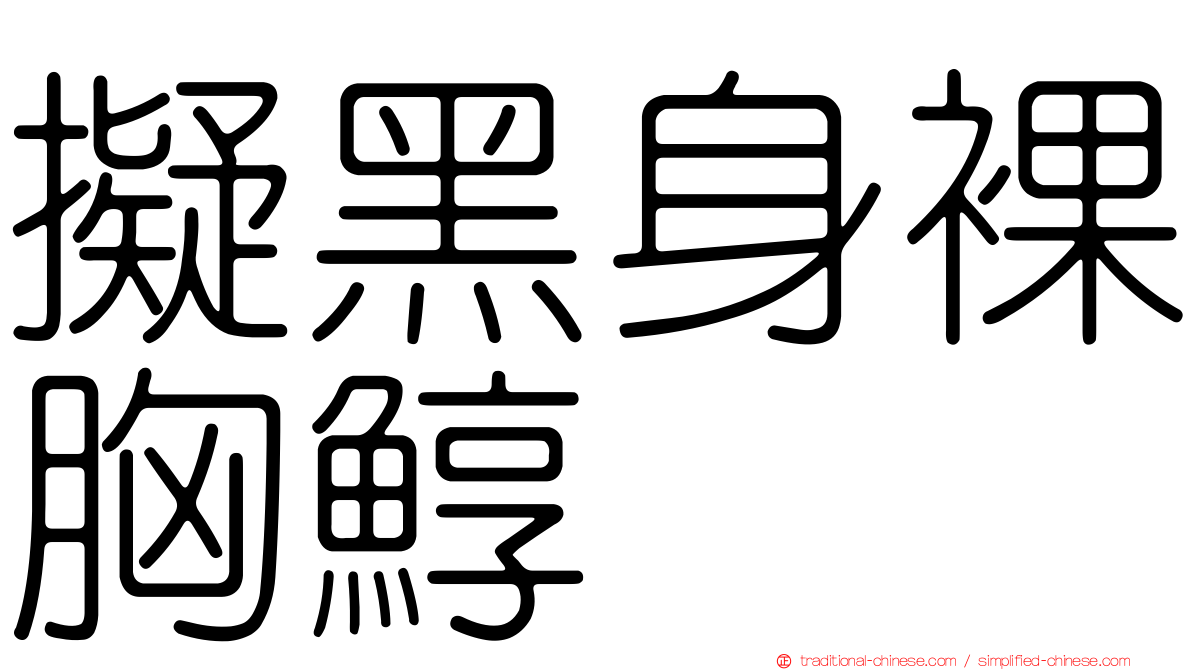 擬黑身裸胸鯙