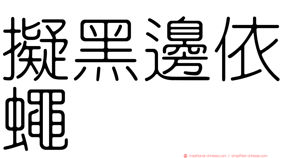 擬黑邊依蠅