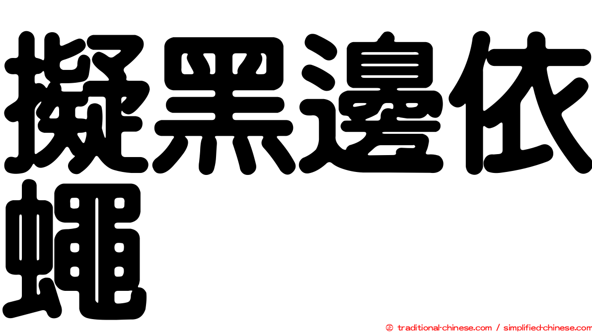 擬黑邊依蠅