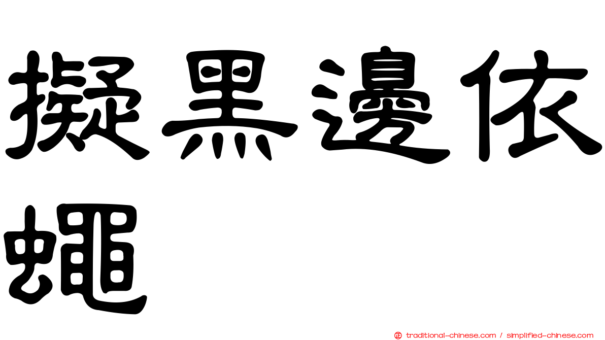 擬黑邊依蠅
