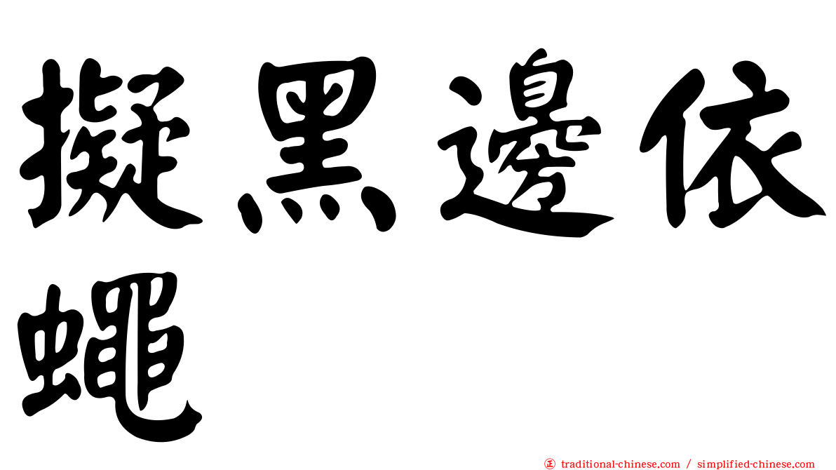 擬黑邊依蠅