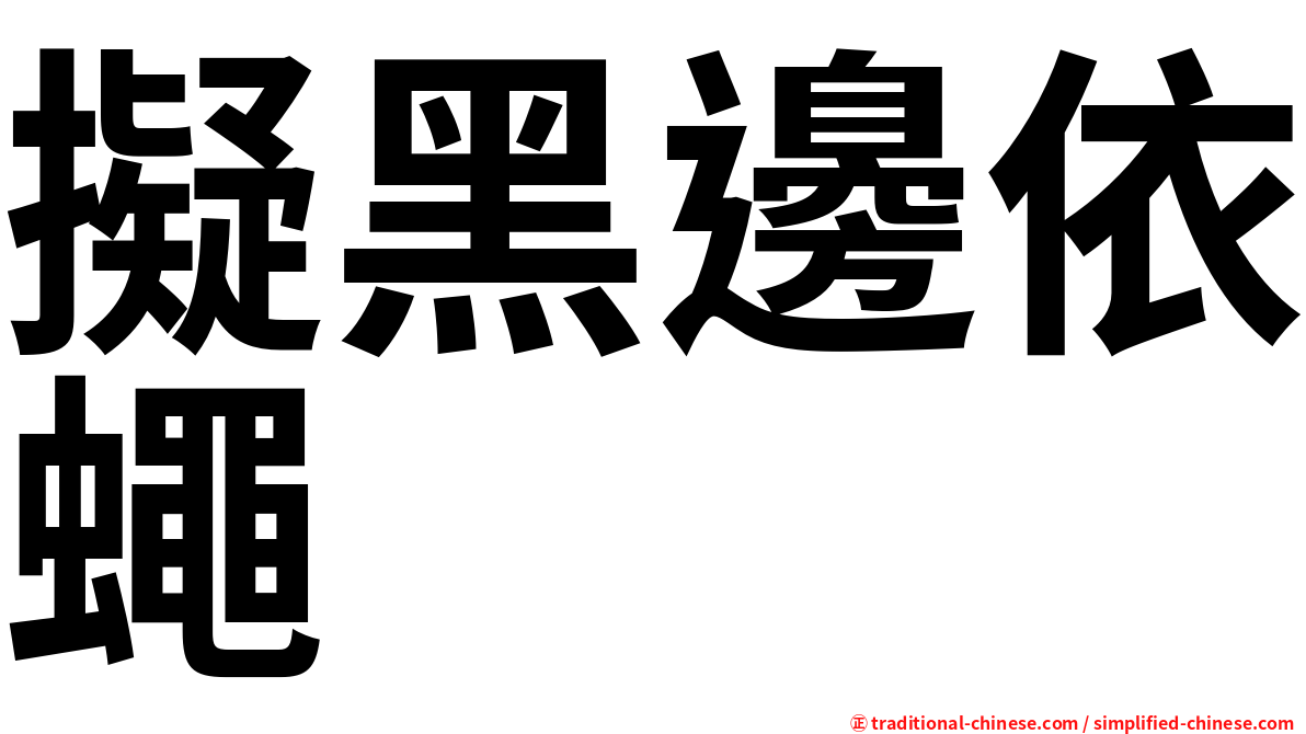 擬黑邊依蠅