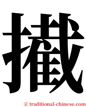 擮 serif font