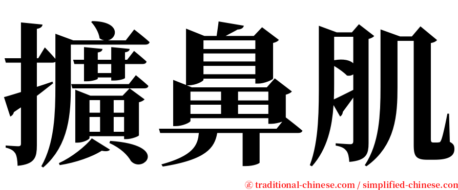 擴鼻肌 serif font