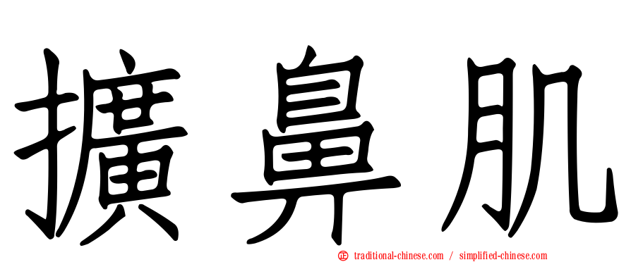 擴鼻肌
