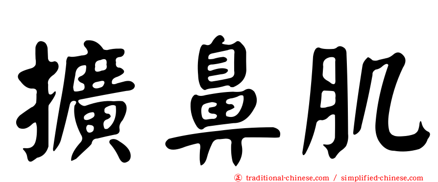擴鼻肌