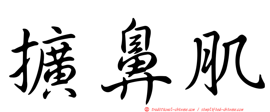 擴鼻肌