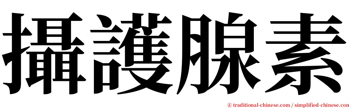 攝護腺素 serif font