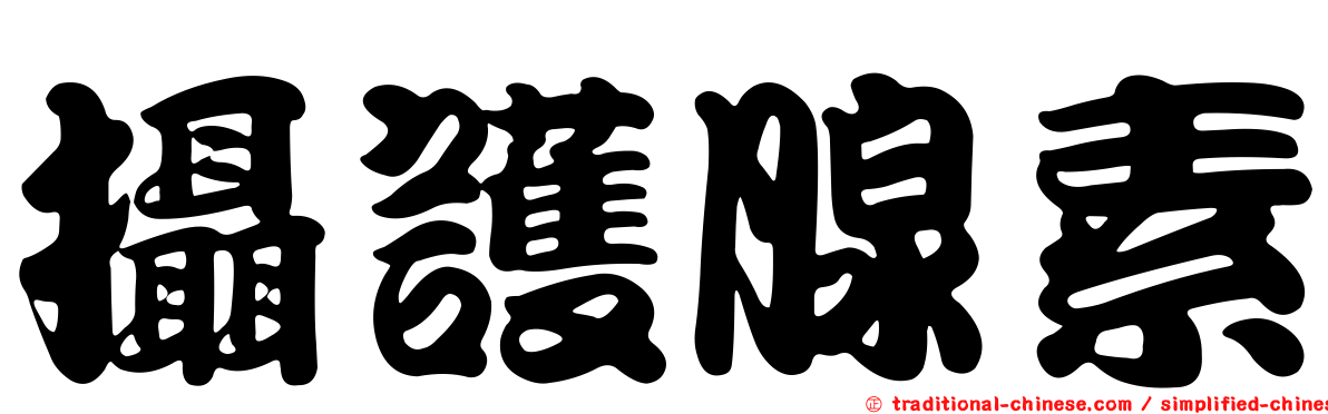 攝護腺素
