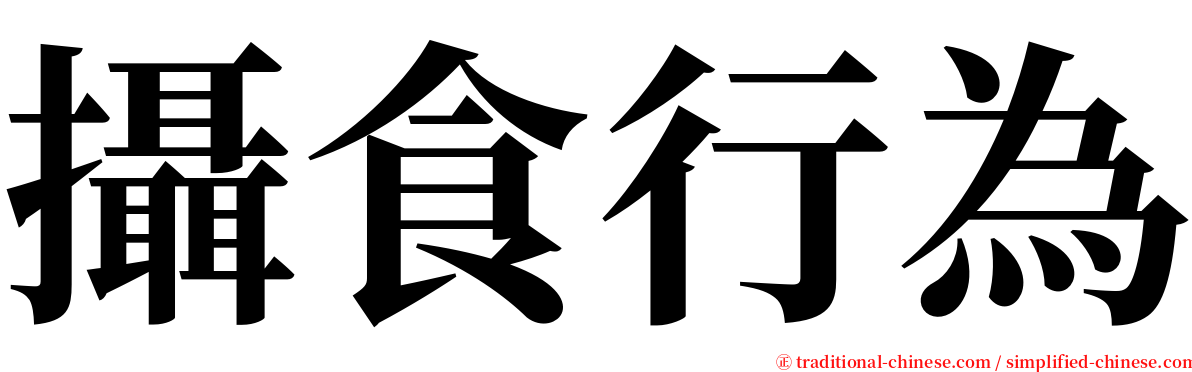 攝食行為 serif font