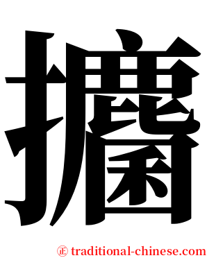 攟 serif font