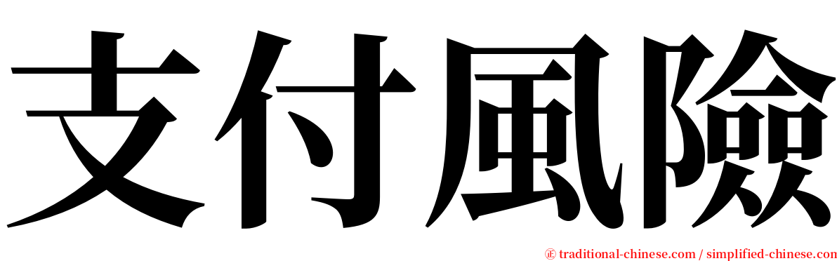支付風險 serif font