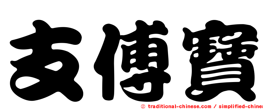 支傅寶