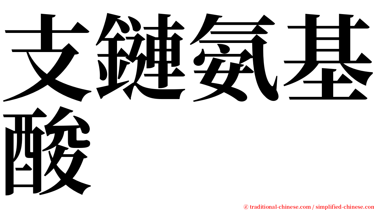 支鏈氨基酸 serif font