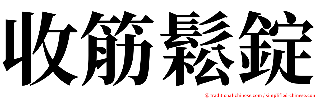 收筋鬆錠 serif font