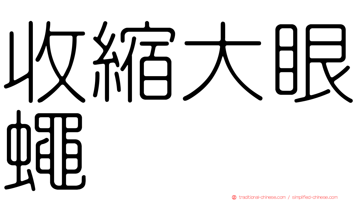 收縮大眼蠅