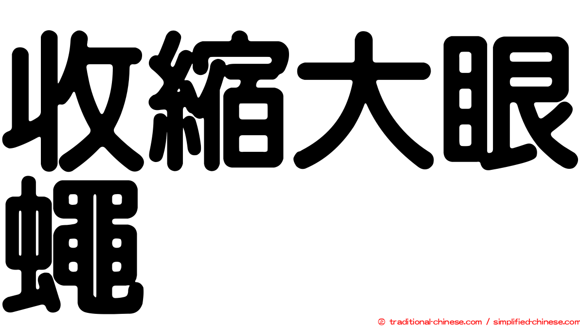 收縮大眼蠅