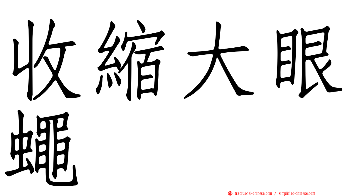 收縮大眼蠅