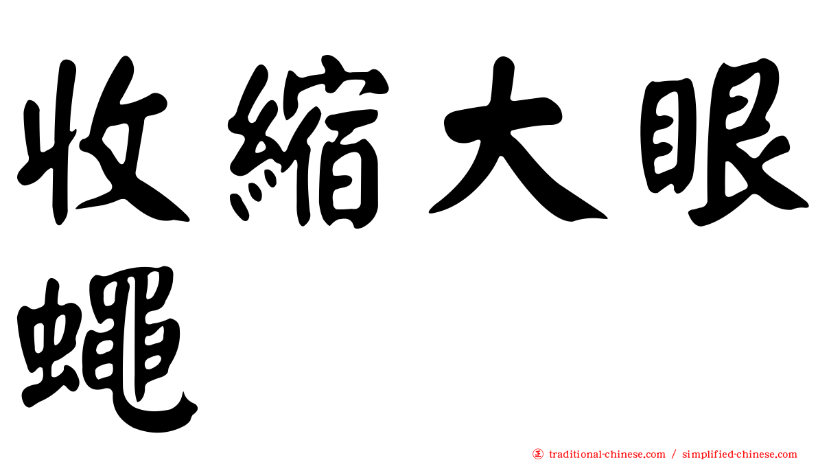 收縮大眼蠅