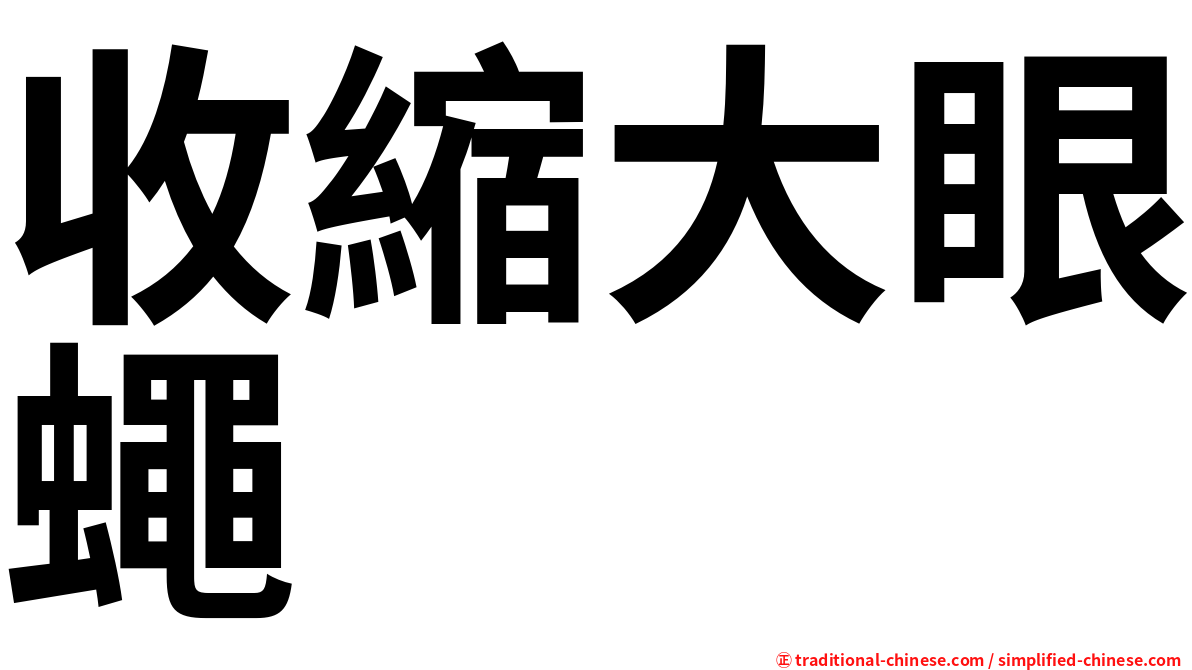 收縮大眼蠅