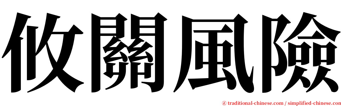攸關風險 serif font