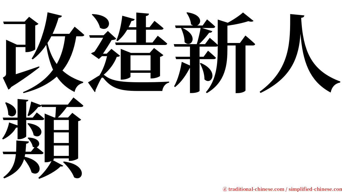 改造新人類 serif font