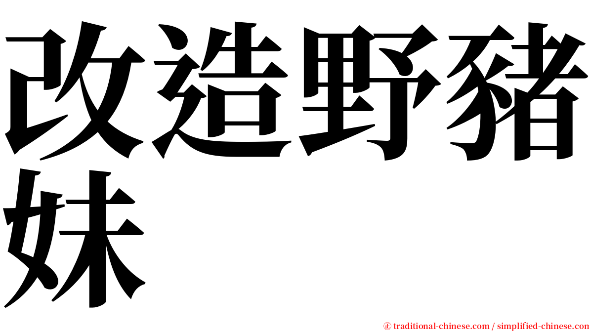 改造野豬妹 serif font
