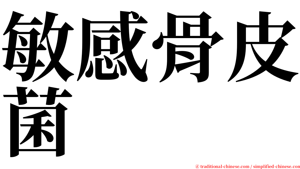 敏感骨皮菌 serif font