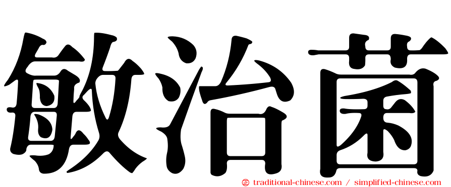 敏治菌