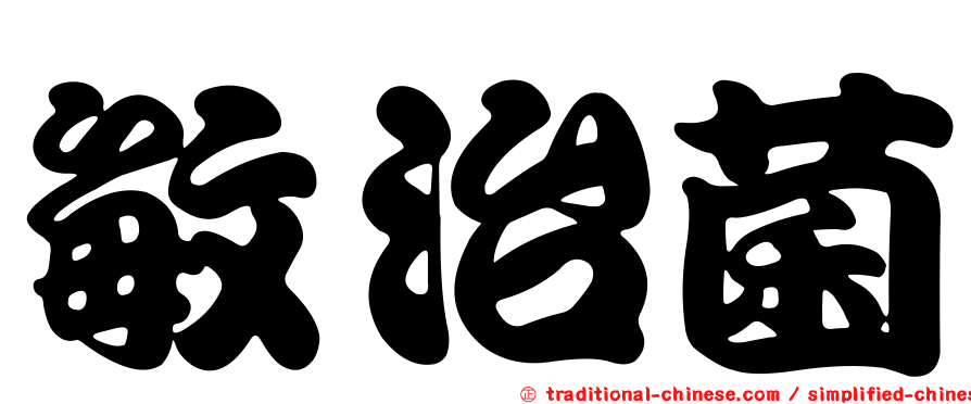 敏治菌