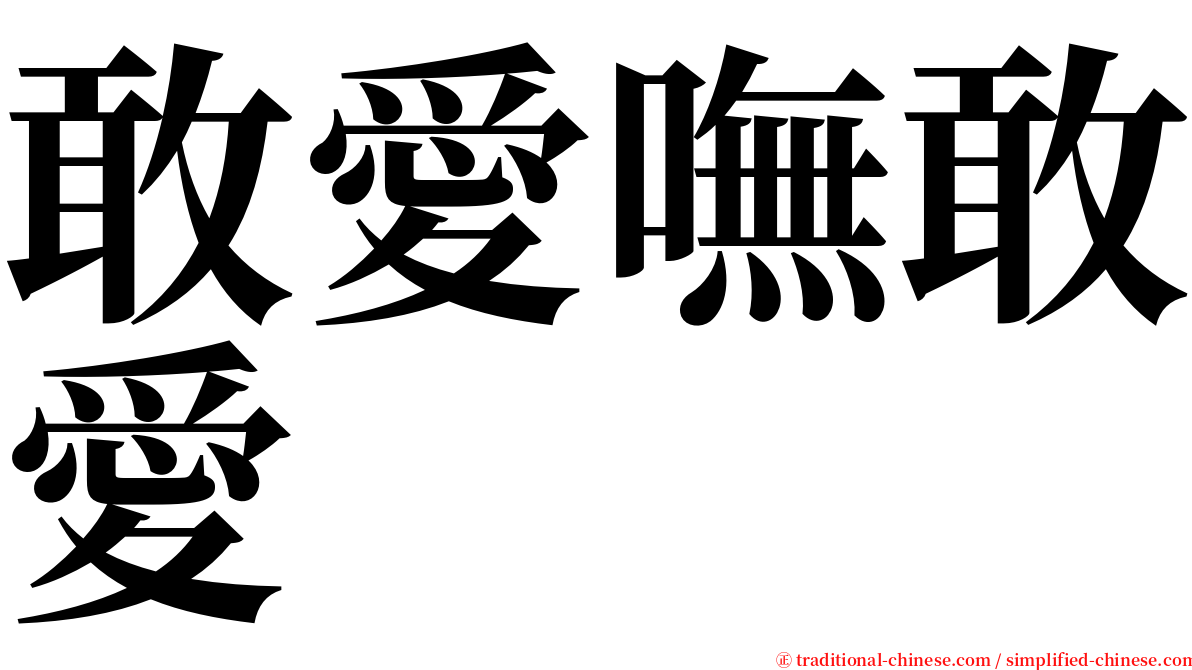 敢愛嘸敢愛 serif font