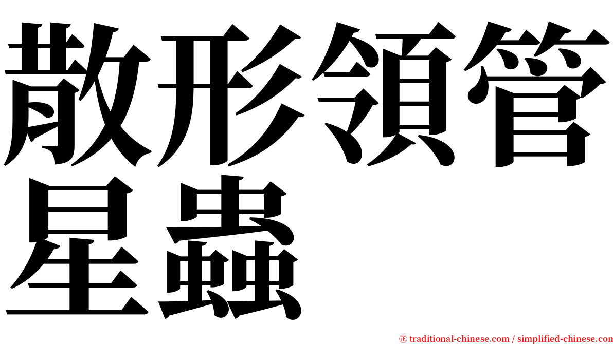 散形領管星蟲 serif font