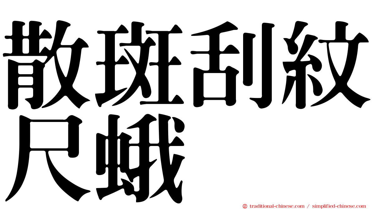 散斑刮紋尺蛾