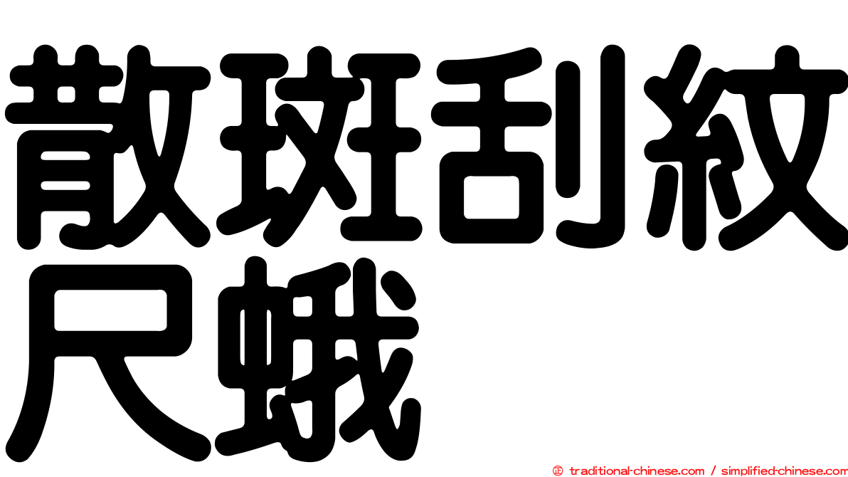 散斑刮紋尺蛾
