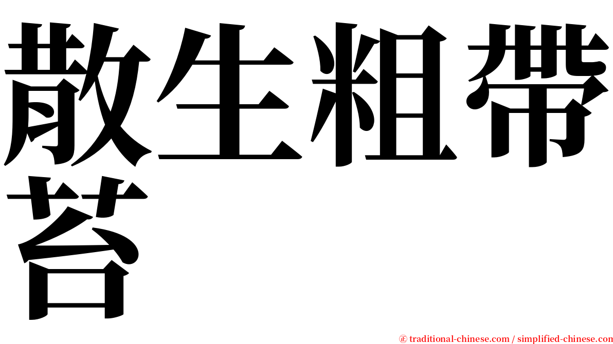 散生粗帶苔 serif font