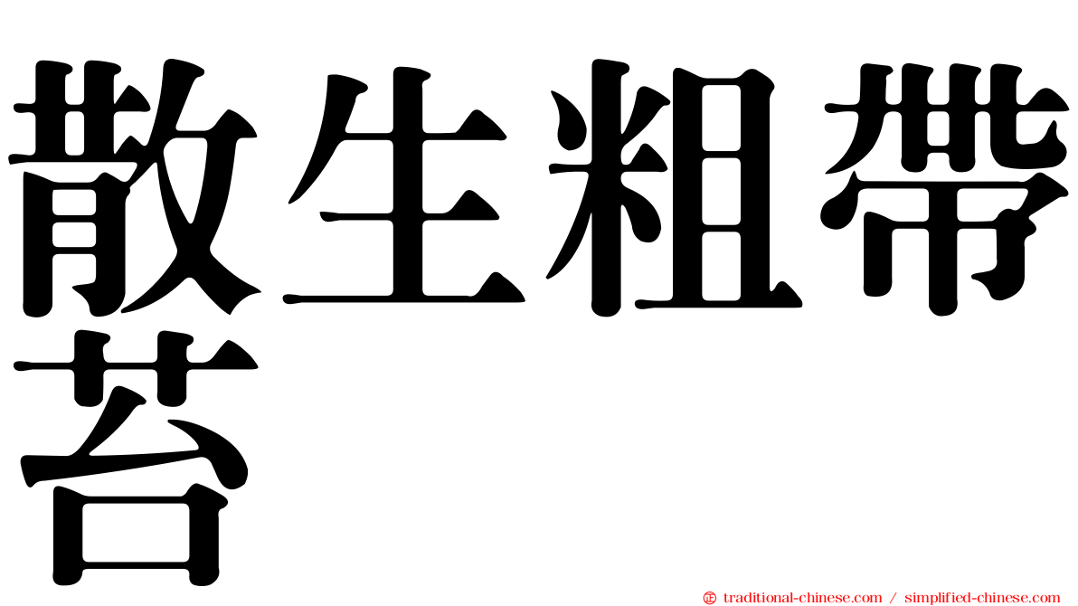 散生粗帶苔