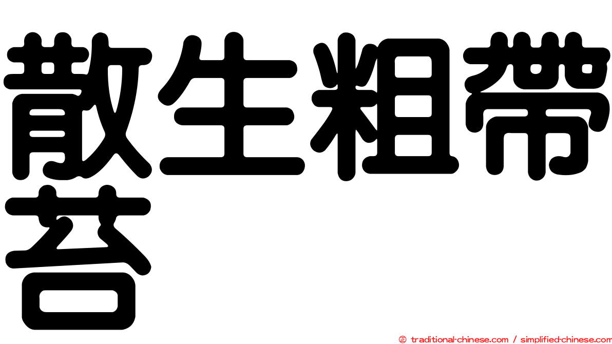 散生粗帶苔