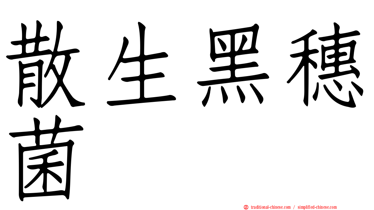 散生黑穗菌