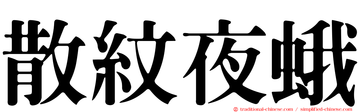 散紋夜蛾