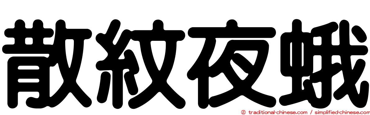 散紋夜蛾