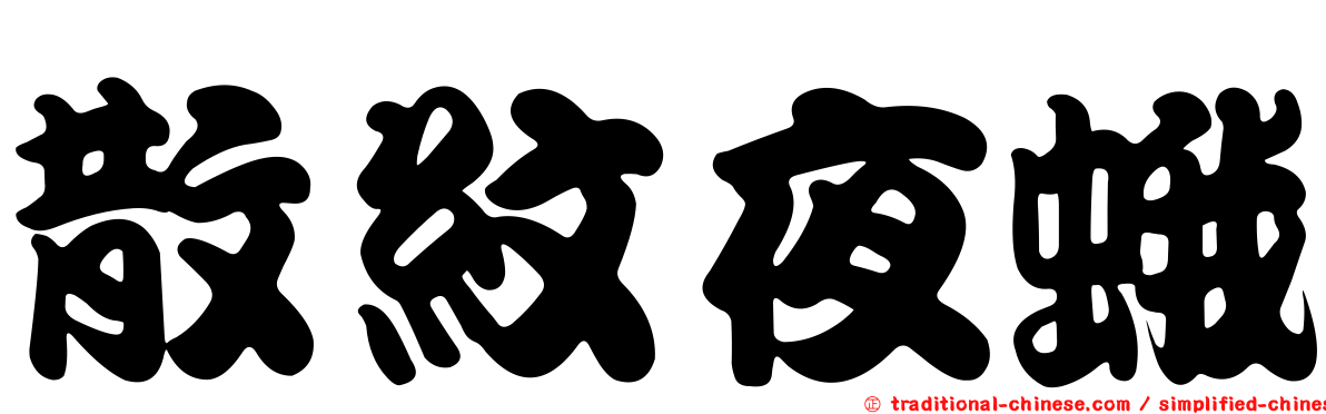 散紋夜蛾