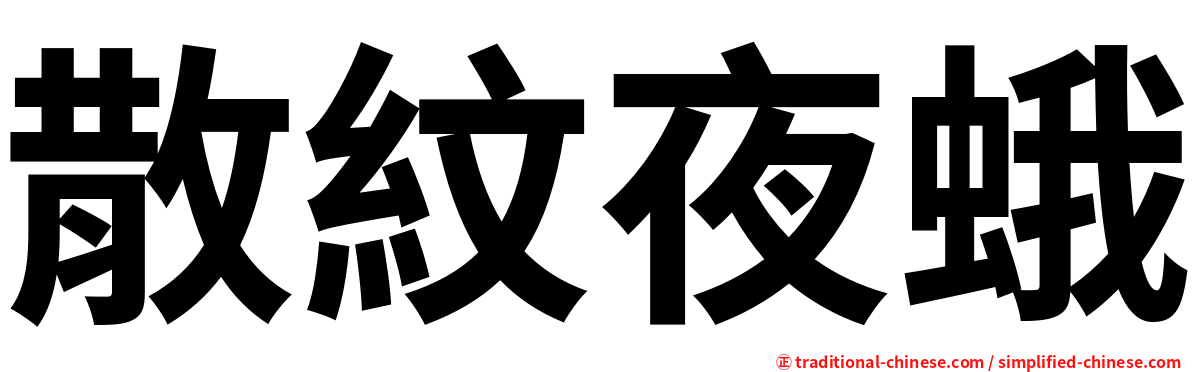 散紋夜蛾