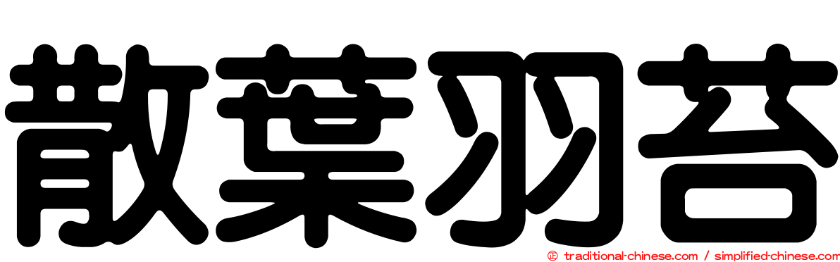 散葉羽苔