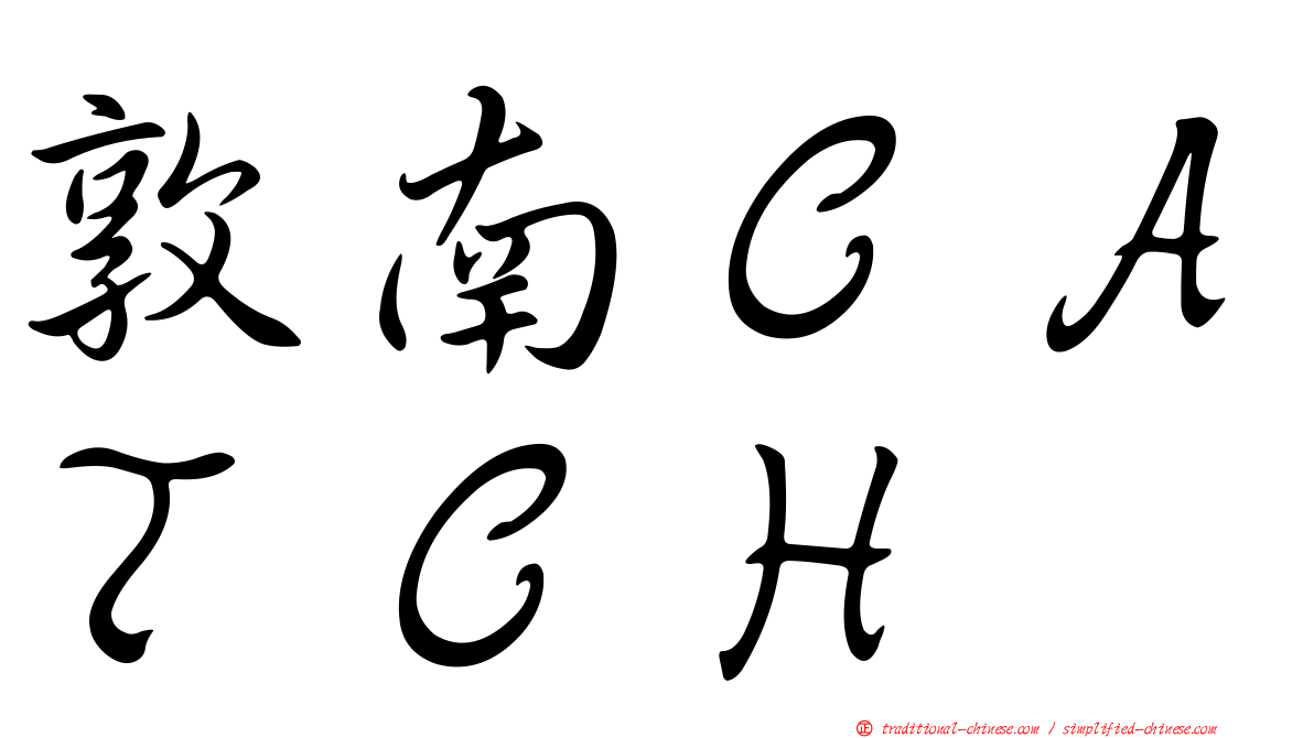 敦南ＣＡＴＣＨ