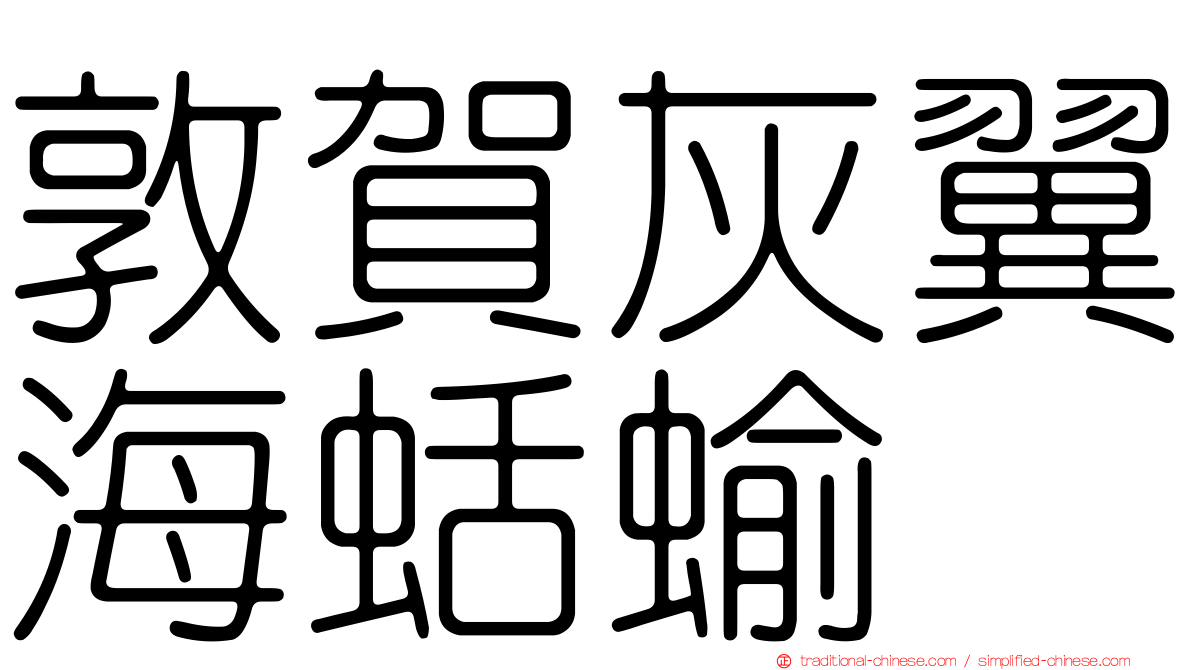 敦賀灰翼海蛞蝓
