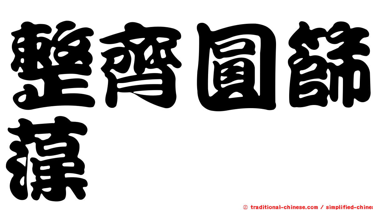 整齊圓篩藻