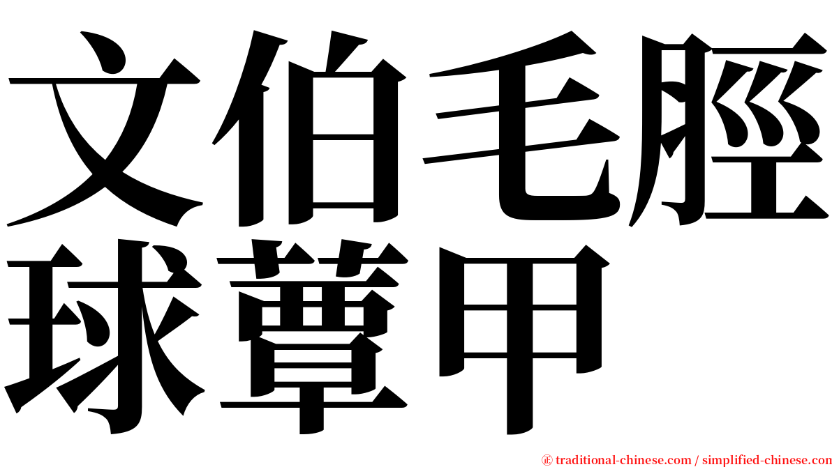 文伯毛脛球蕈甲 serif font