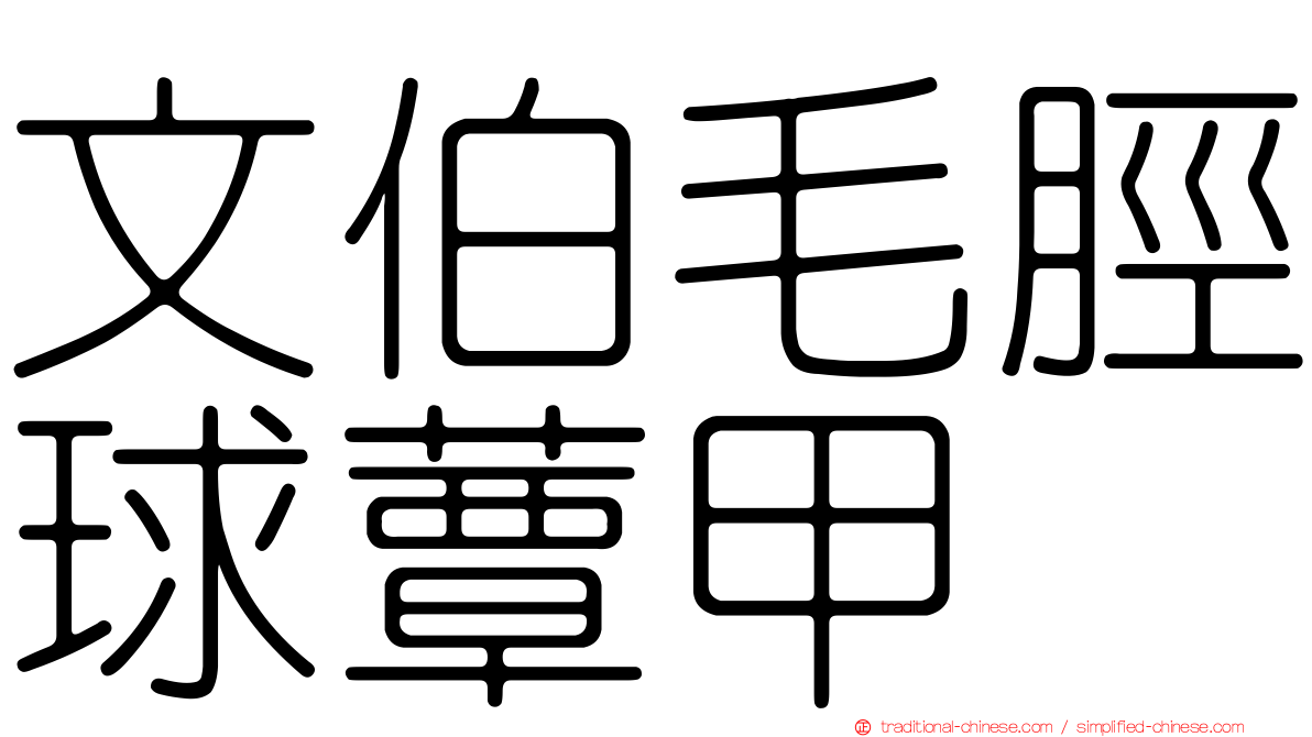 文伯毛脛球蕈甲